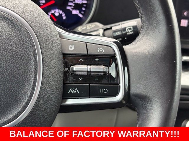 Used 2023 Panthera Metal Kia LX image 21