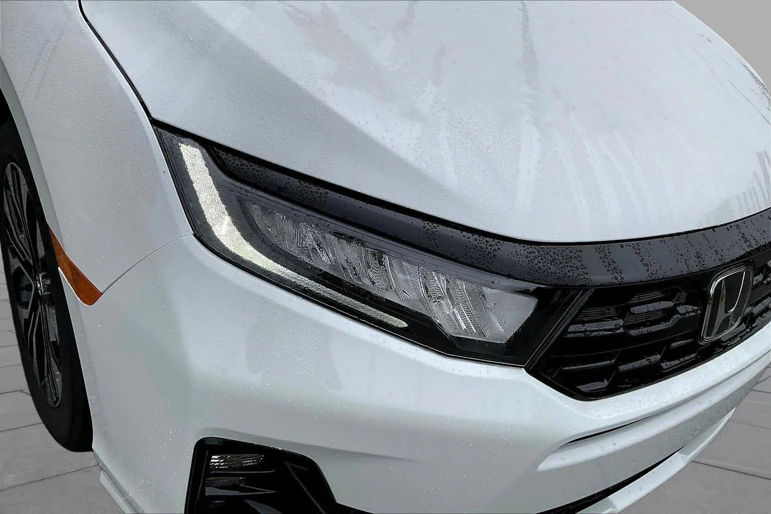 New 2027 Platinum White Pearl Honda Elite image 13