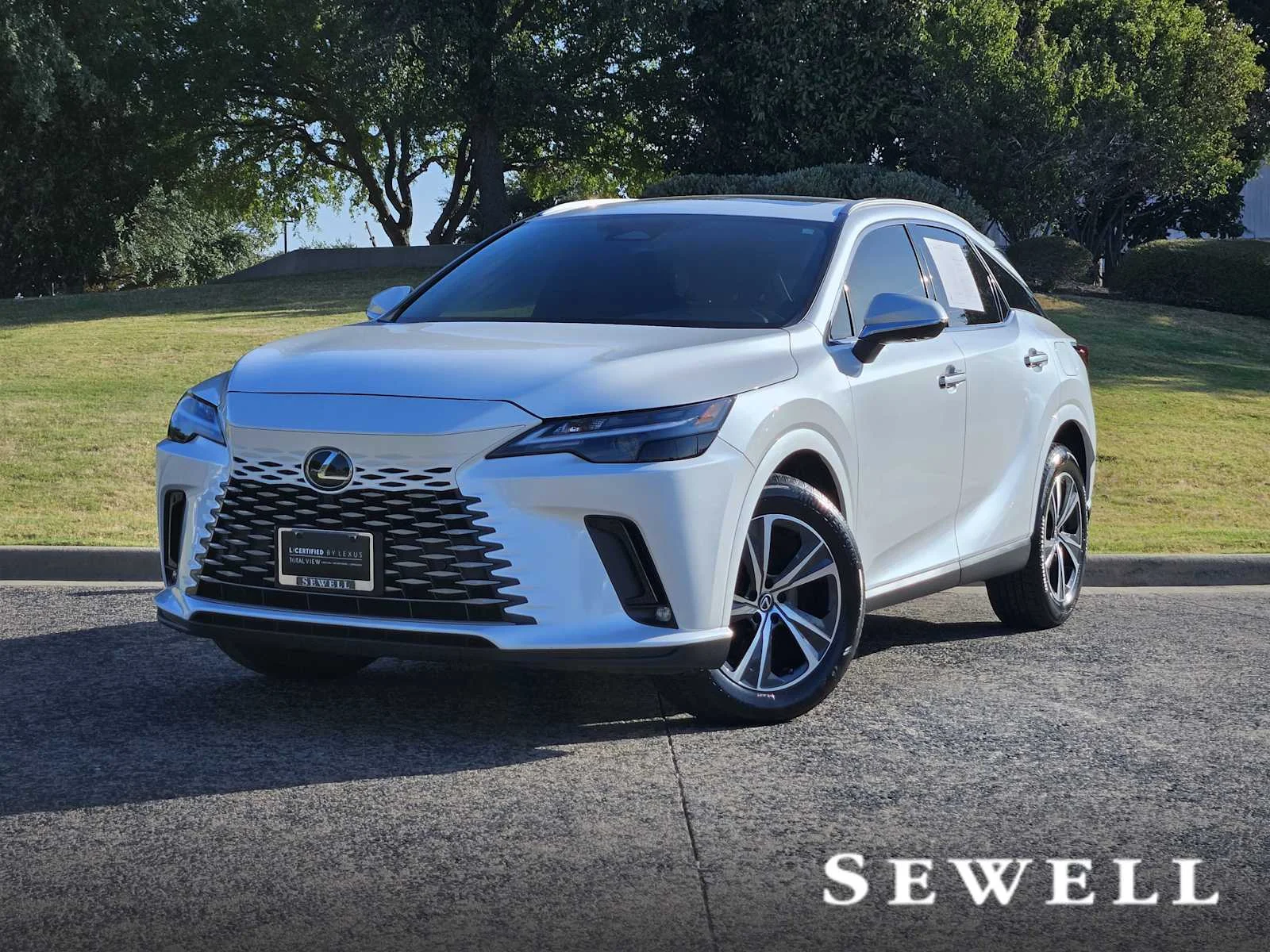 2025 Lexus RX 350 Premium