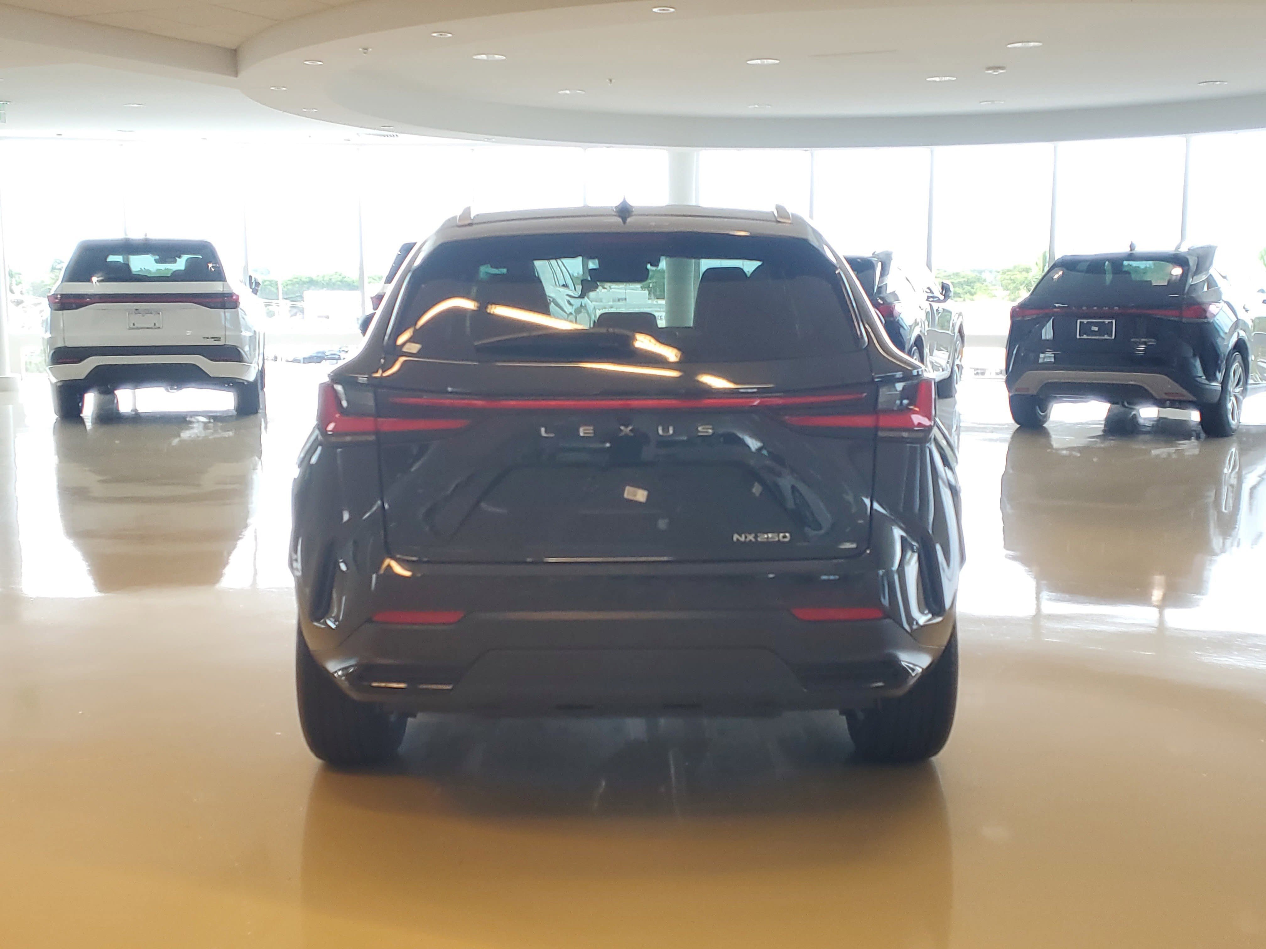 Used 2024 Caviar Lexus NX 250 Premium image 9