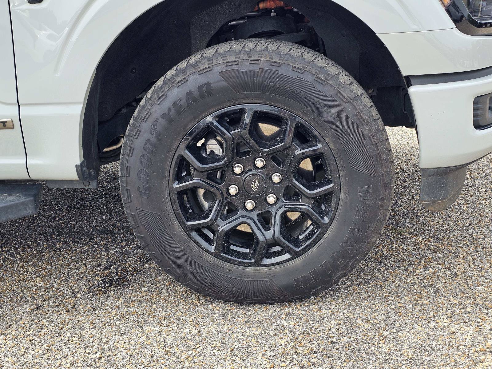 2024 Ford F-150 XLT - Photo 6