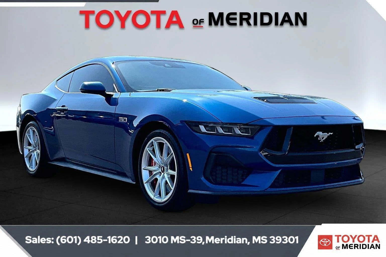 Used 2024 Atlas Blue Ford GT Premium image 1