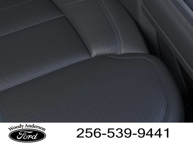 2025 Ford F-250 Super Duty Platinum - Photo 16