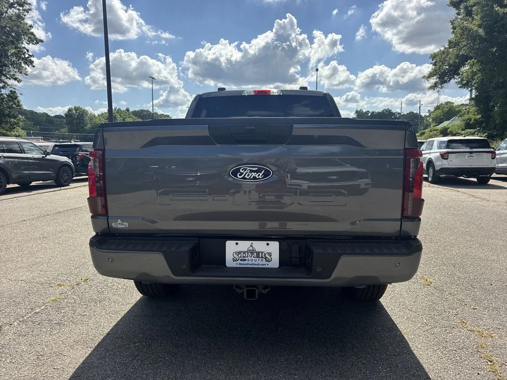 New 2026 Gray Ford STX image 5