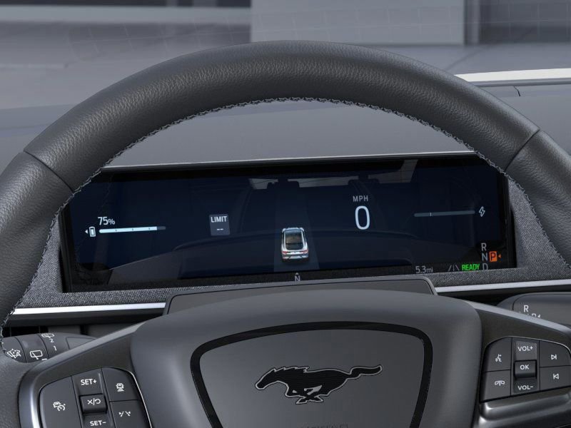 2025 Ford Mustang Mach-E GT - Photo 13