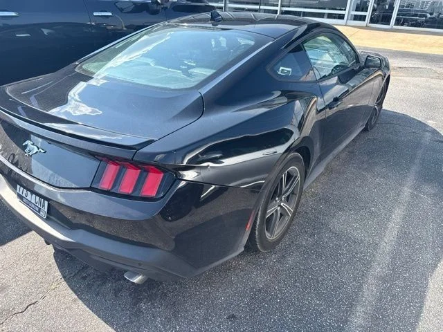 Used 2024 Black Ford EcoBoost Premium image 7