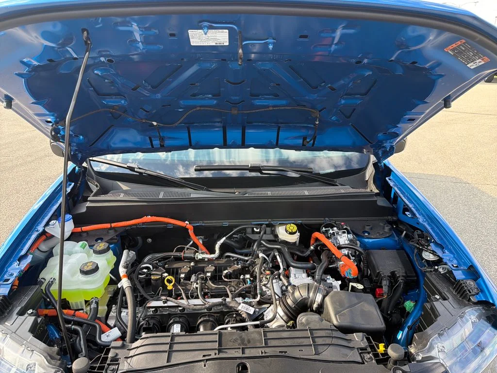 New 2026 Blue Ford XLT image 13