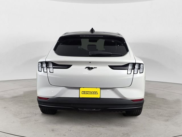 Used 2025 White Ford Premium image 4