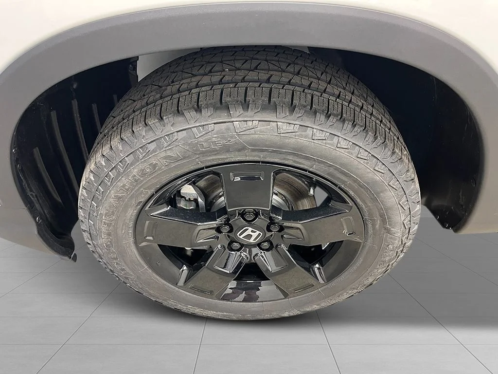 New 2026 Platinum White Pearl Honda Black Edition Two-Tone image 11
