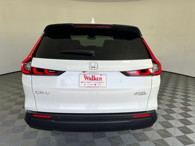 New 2026 White Honda EX-L image 6