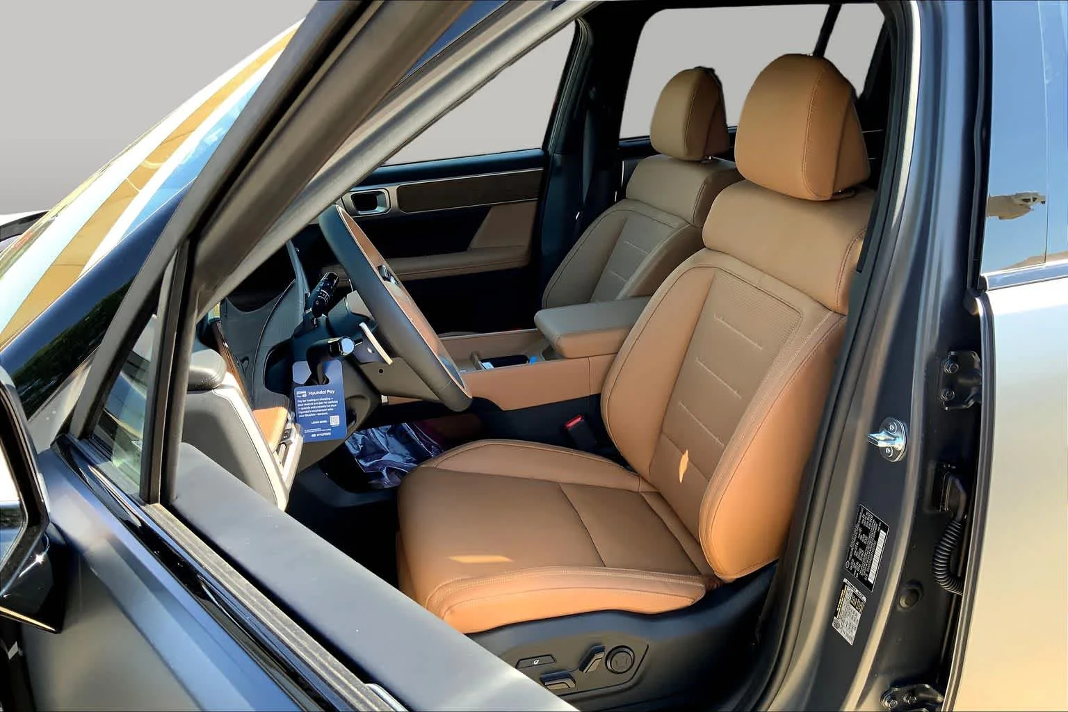 New 2026 Ecotronic Gray Matte Hyundai Calligraphy image 7