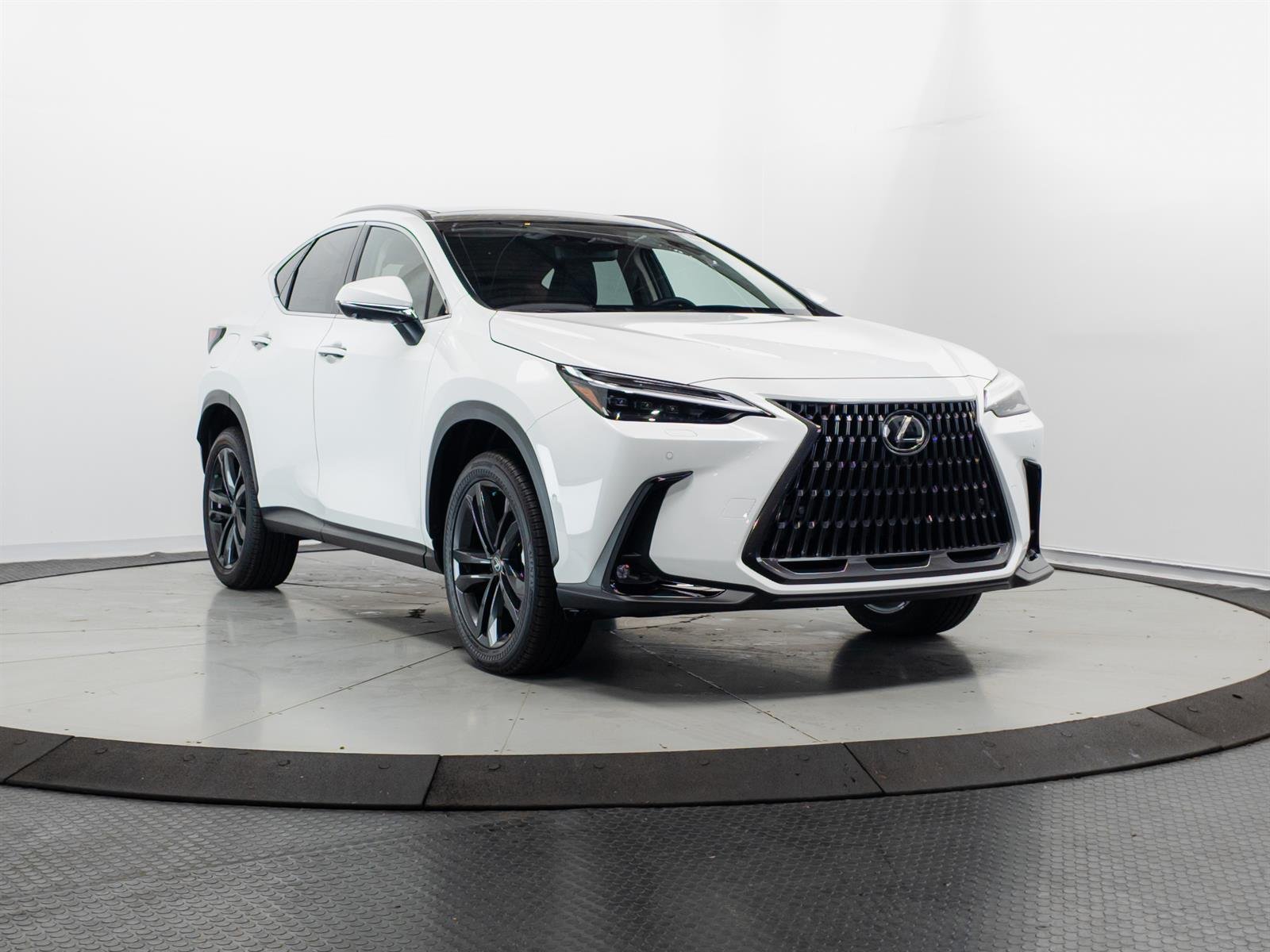 2026 Lexus NX