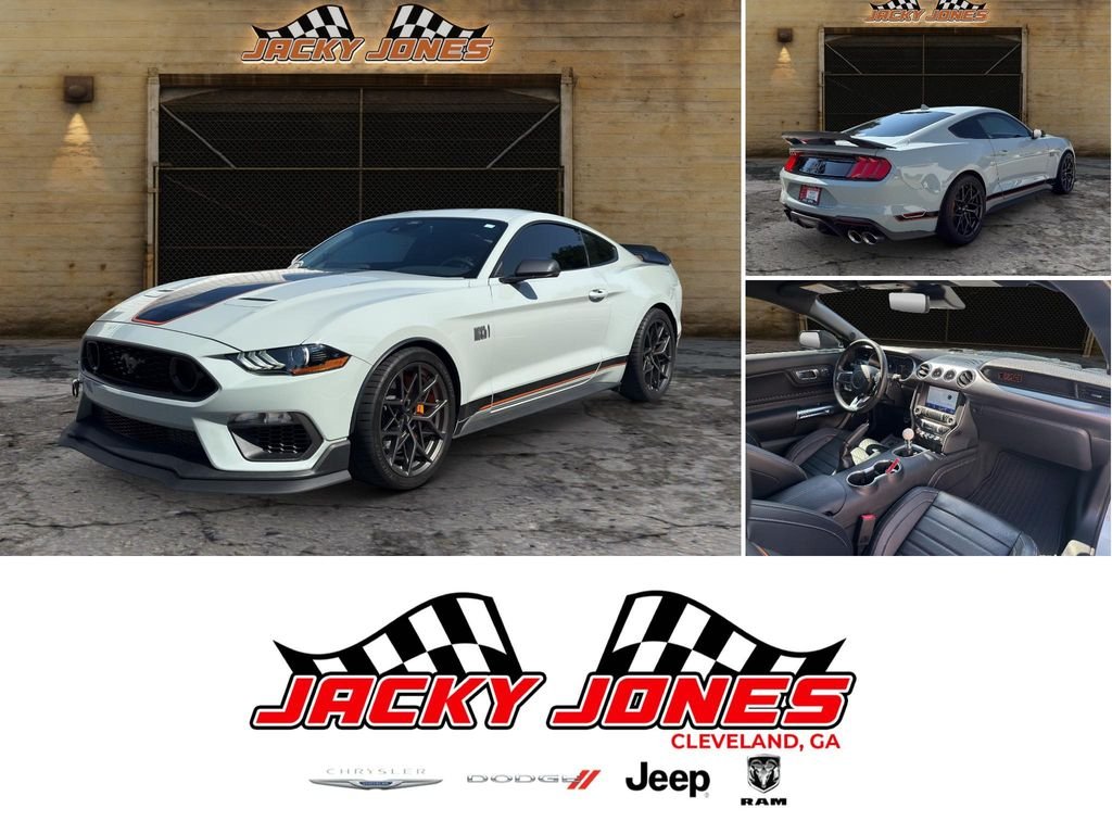 Used 2022 Fighter Jet Gray Ford Mach 1 image 1