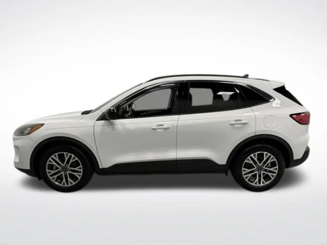 Used 2022 White Ford SEL image 6