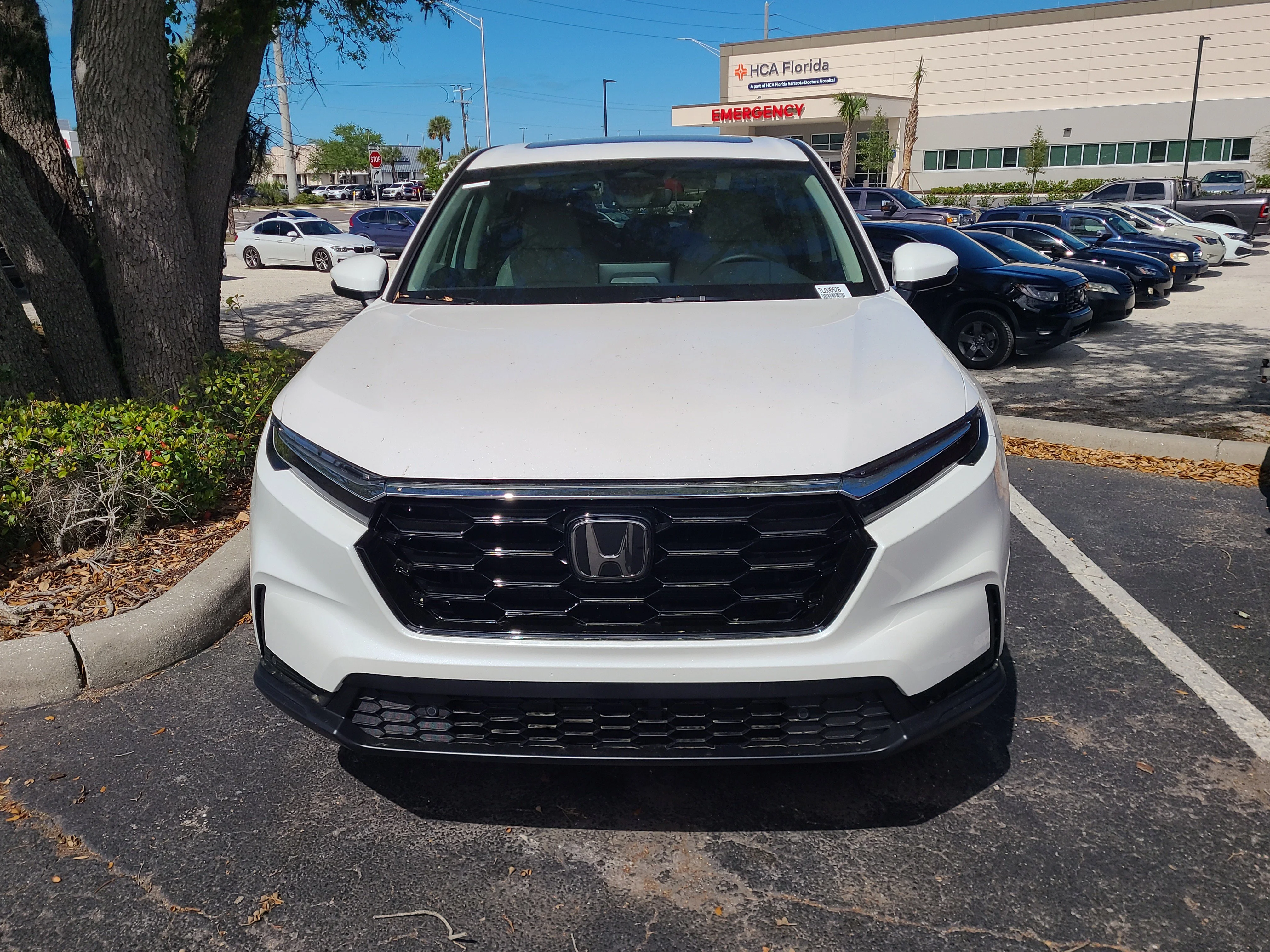 Used 2026  Honda EX-L image 1