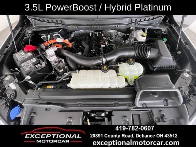 Used 2025 Gray Ford Platinum image 52