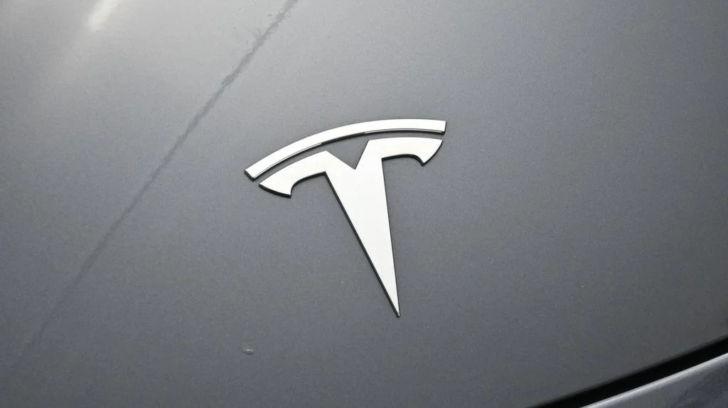 Used 2021 Gray Tesla Standard Range Plus image 19