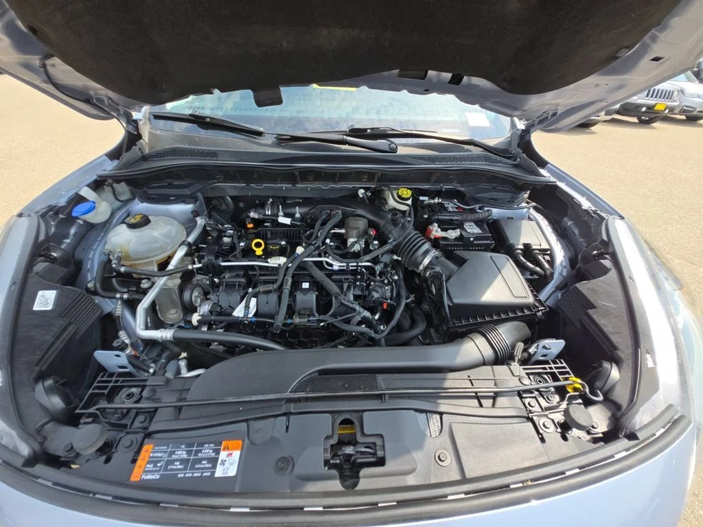 Used 2022 Blue Ford SEL image 24