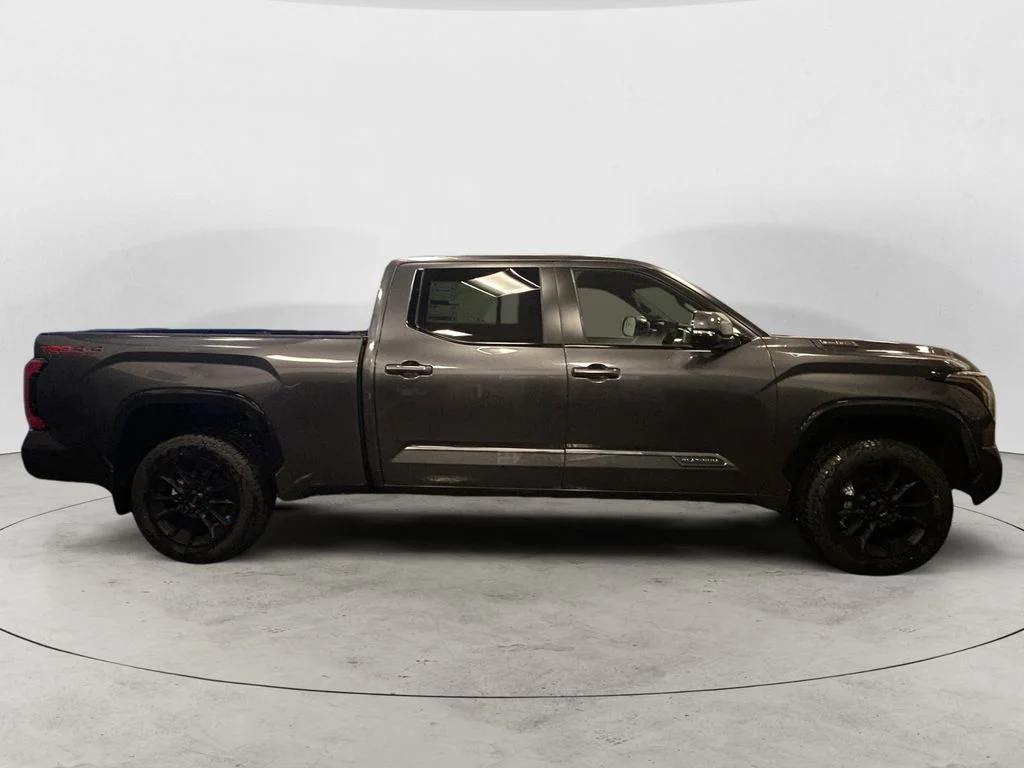 New 2026 Magnetic Gray Metallic Toyota Platinum image 6
