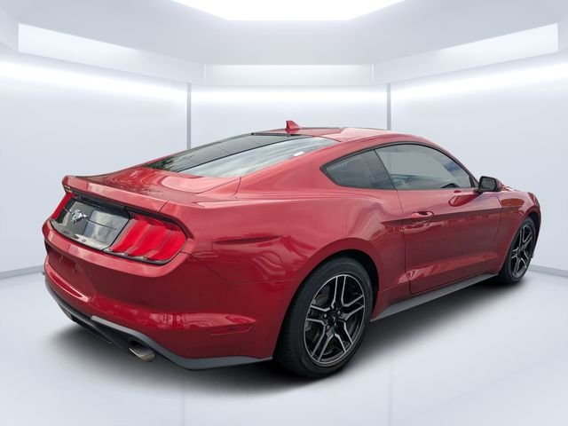 Used 2022 Red Ford EcoBoost image 3