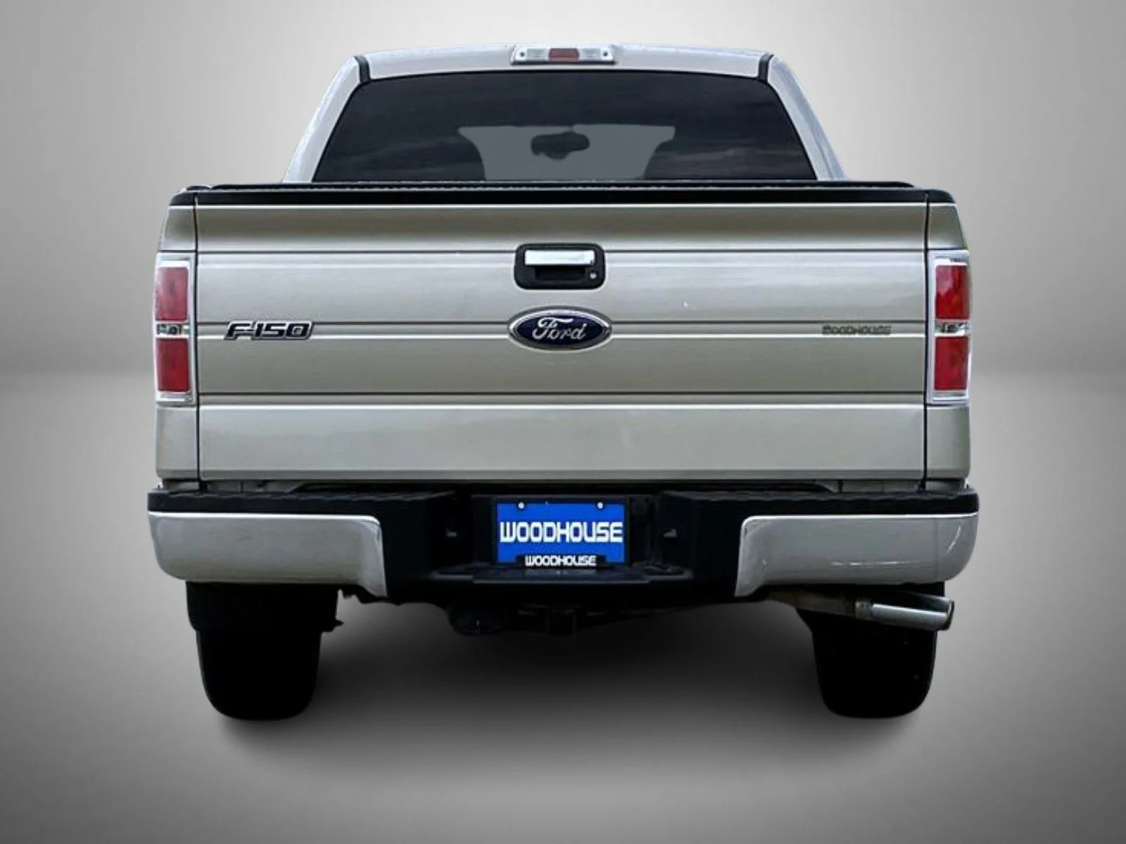 Used 2010 Gold Ford XLT image 6