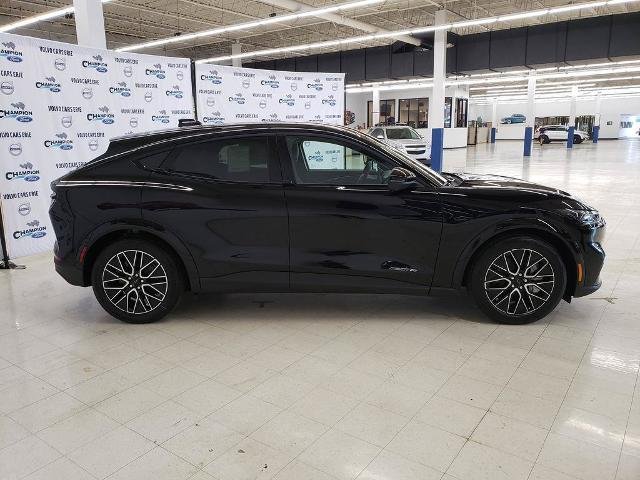 New 2026 Shadow Black Ford Premium image 5