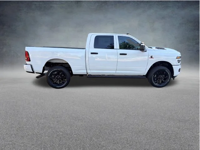 New 2027 Bright White Clear-Coat Paint RAM Black Express image 9