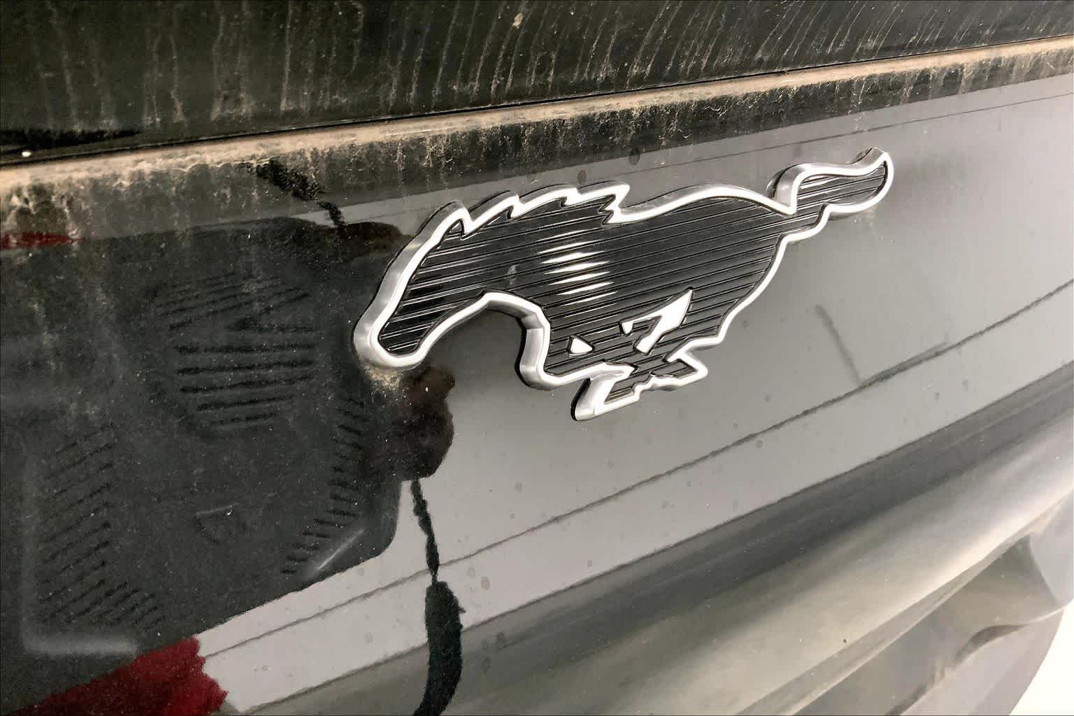 New 2026 Shadow Black Ford Premium image 12