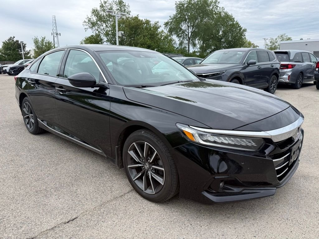 2022 Honda Accord 1.5T EX-L CVT's photo