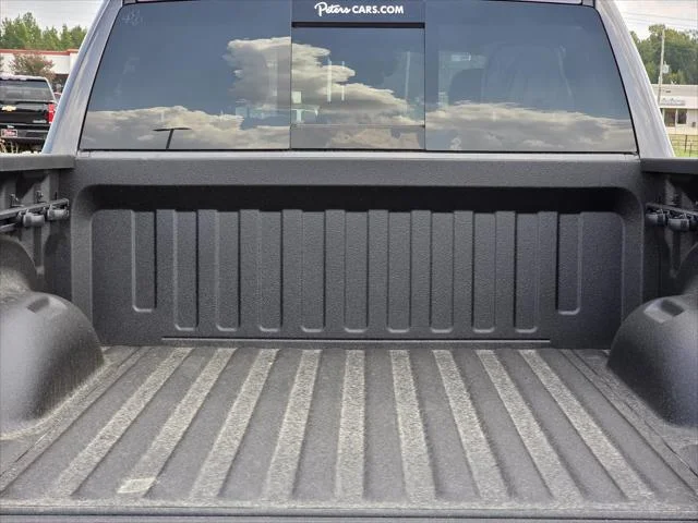New 2026 Granite Crystal Metallic Clear-Coat Exterior Paint RAM Express image 6