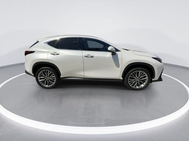 2025 Lexus NX Hybrid 350h - Photo 9