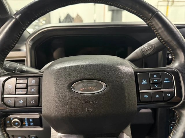 Certified Used 2024  Ford Platinum image 19