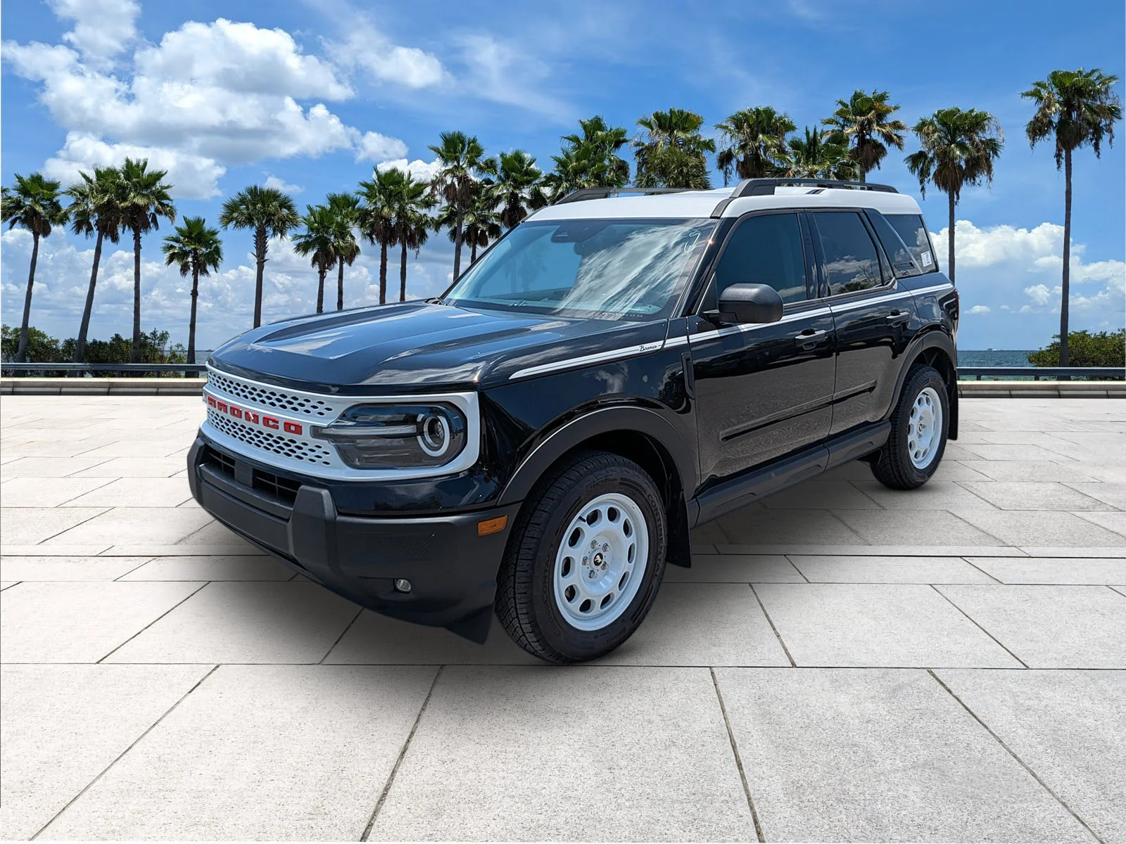 New 2026 Shadow Black Ford Heritage image 3