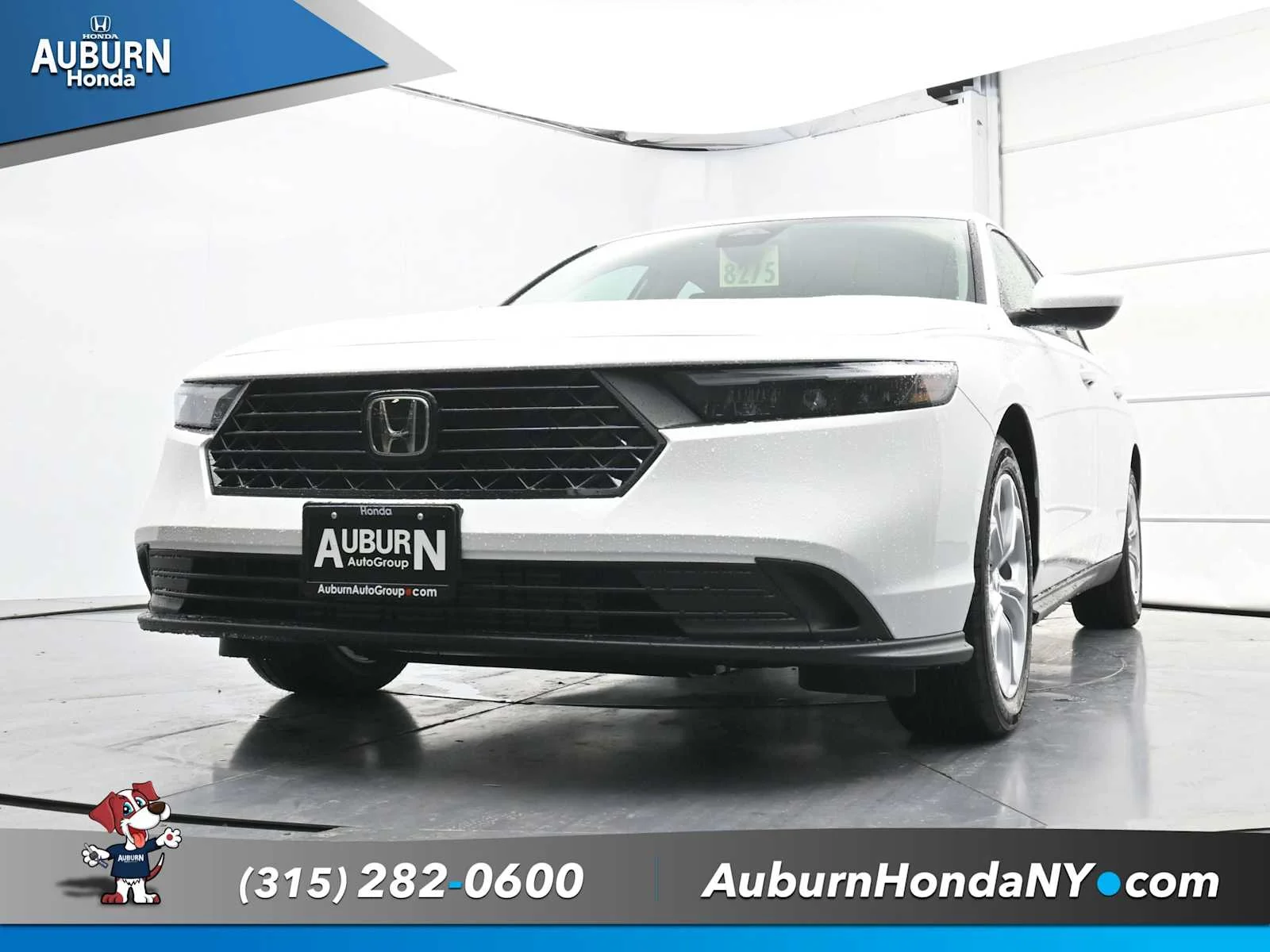 New 2025 Platinum White Pearl Honda LX image 17