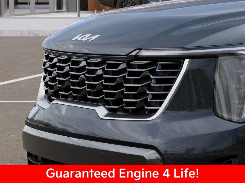 New 2026 Panthera Metal Kia S image 14