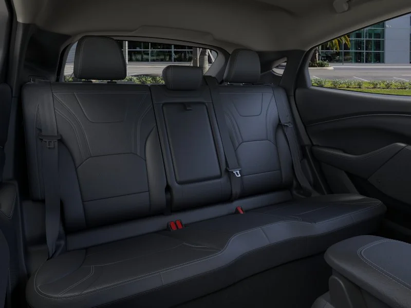 New 2026 Shadow Black Ford Premium image 26