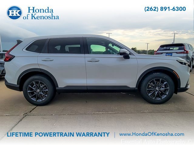 New 2027 Platinum White Pearl Honda EX-L AWD image 4