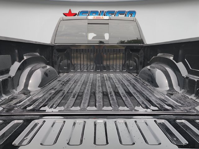 New 2026 Diamond Black Crystal Pearl-Coat Exterior Paint RAM Express image 30