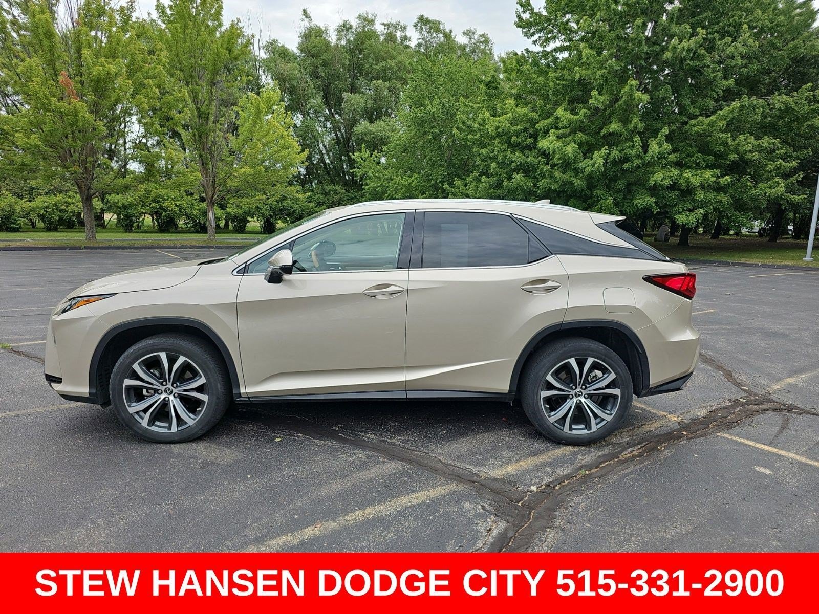 2019 Lexus RX 350 350 AWD's photo