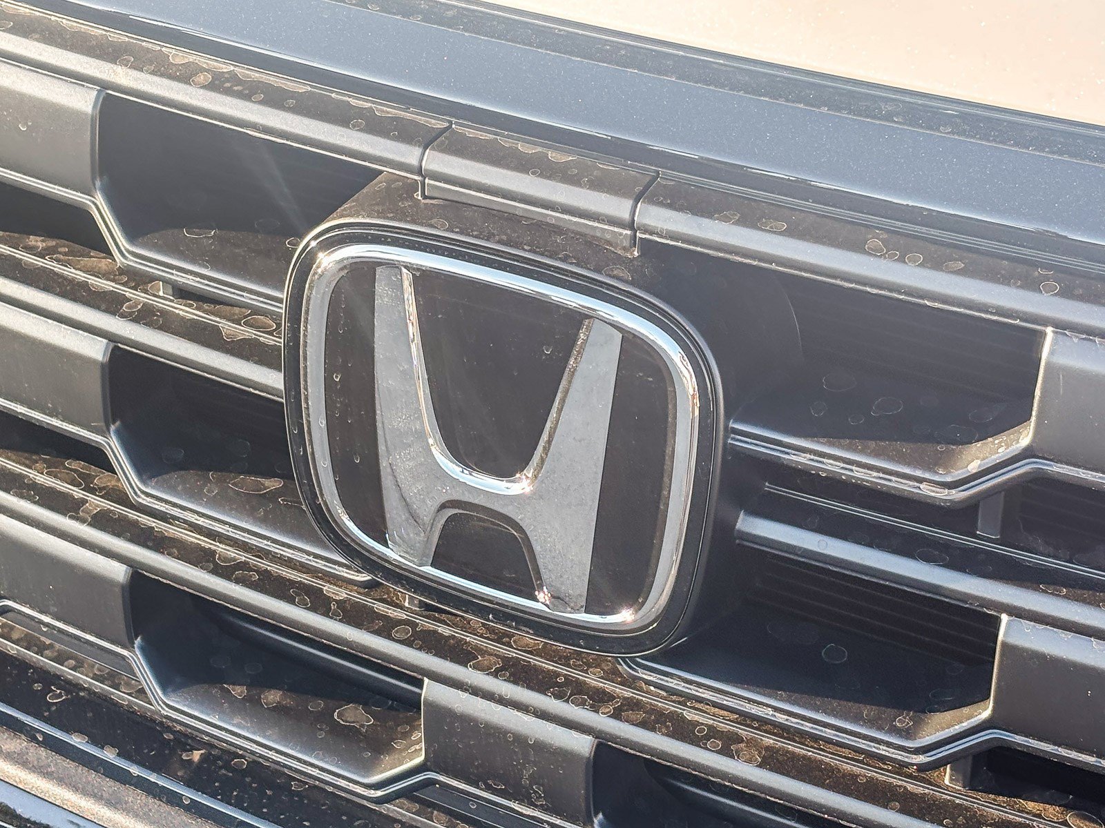 New 2026 Platinum White Pearl Honda Sport image 9