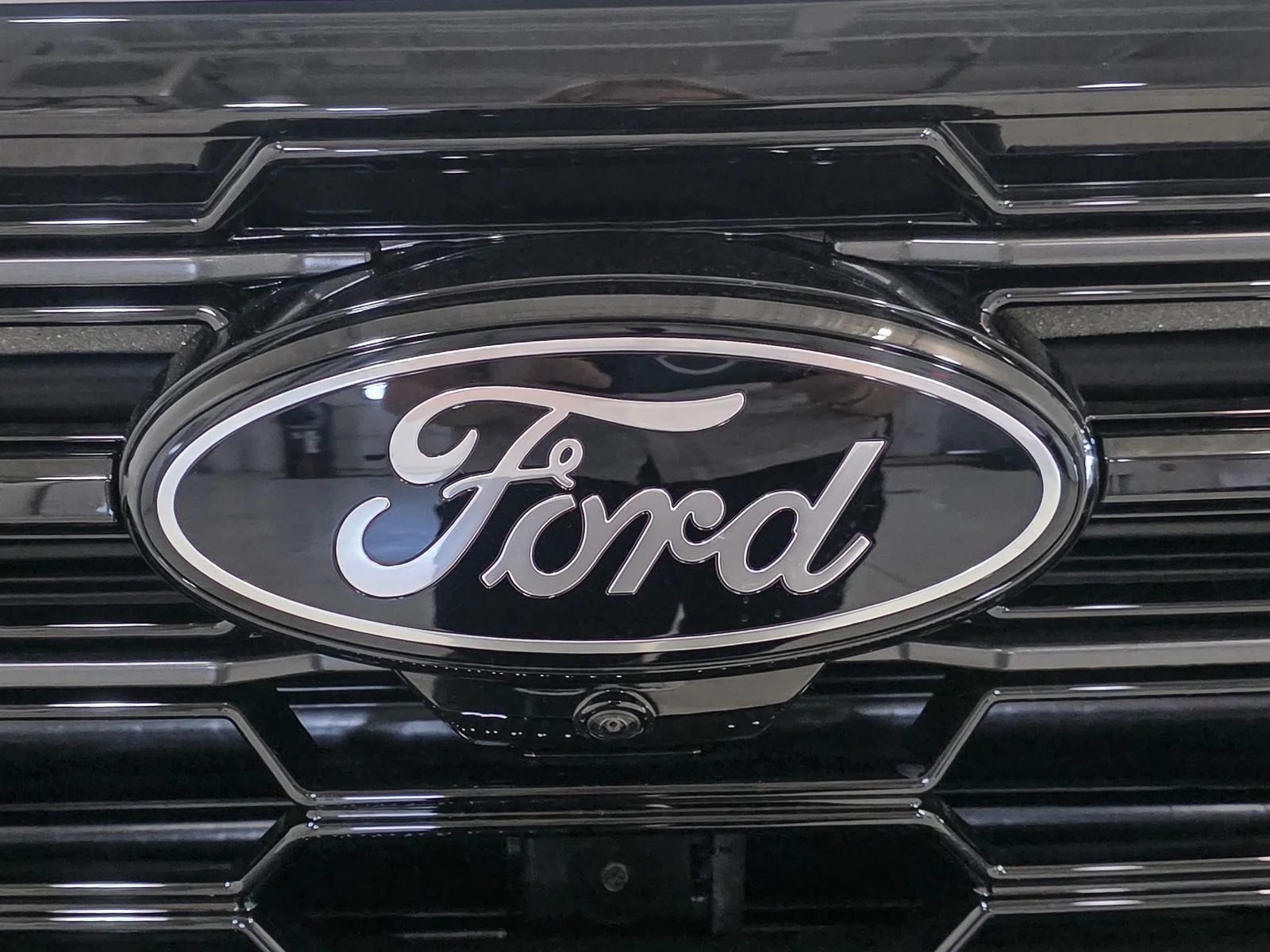 New 2026 White Ford Platinum image 13