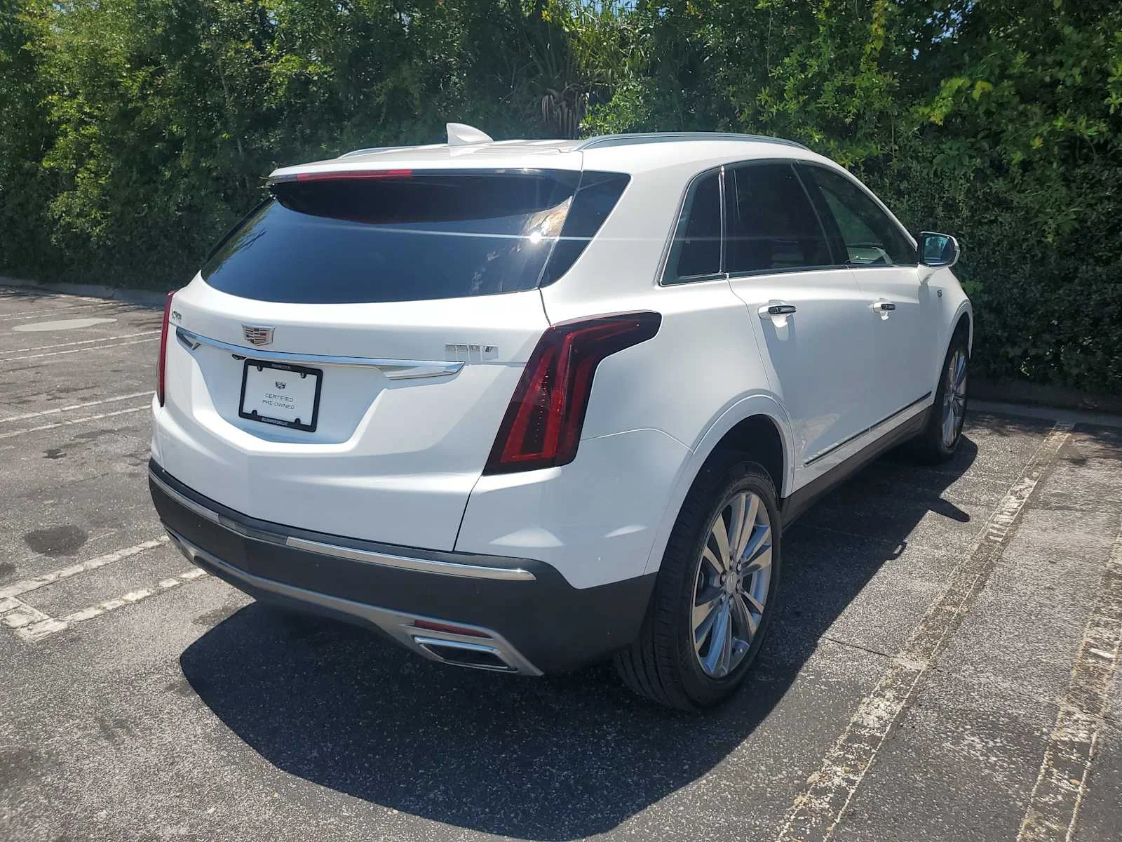 Used 2024 Mary Kay Pearl Tri-coat V Cadillac Premium Luxury image 5