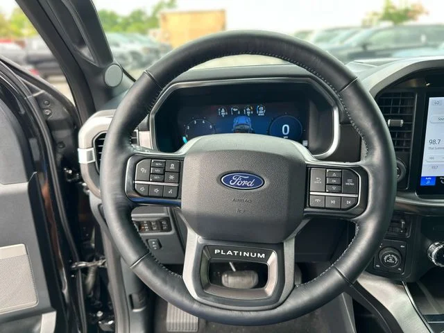 Used 2025 Black Ford Platinum image 15