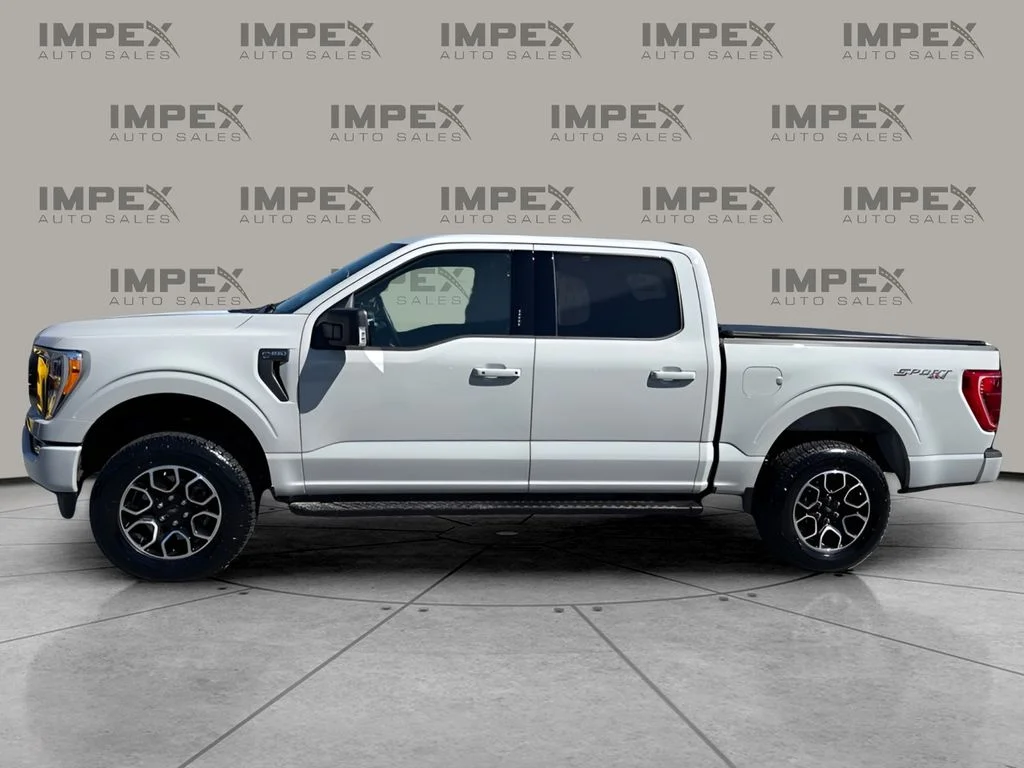 Used 2023 White Ford XLT image 2