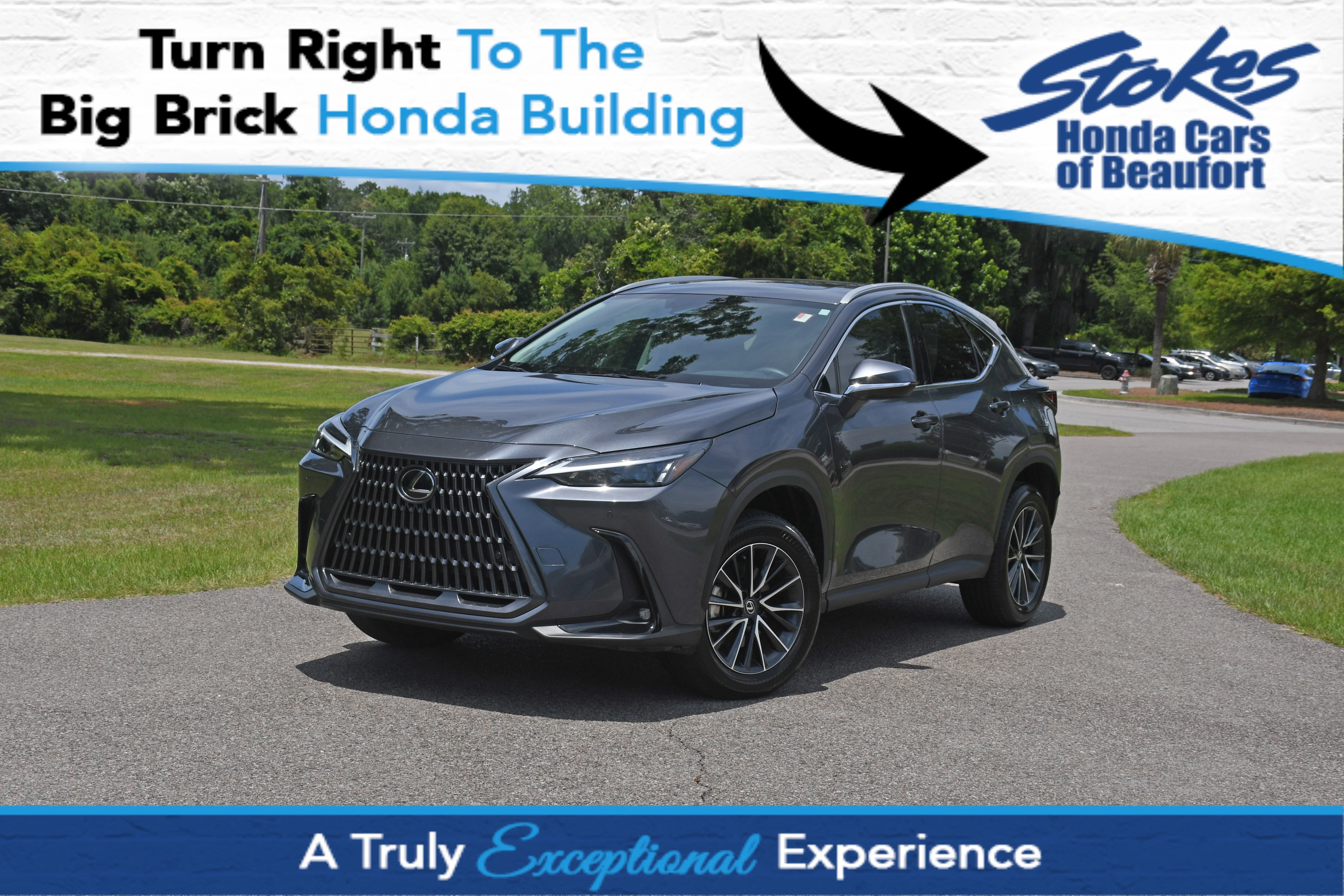 2025 Lexus NX 350 250 Premium FWD's photo