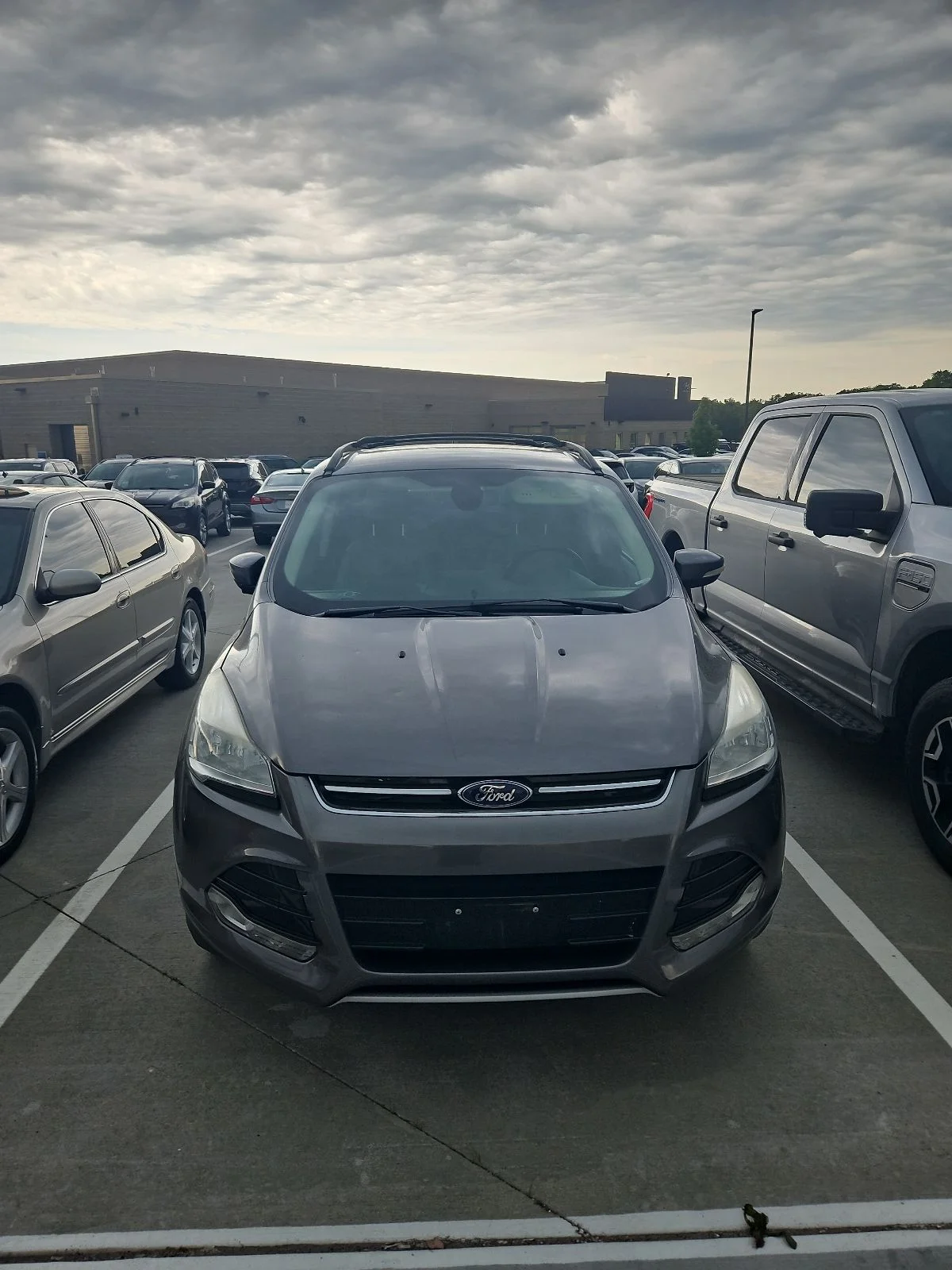 2013 Ford Escape SEL's photo