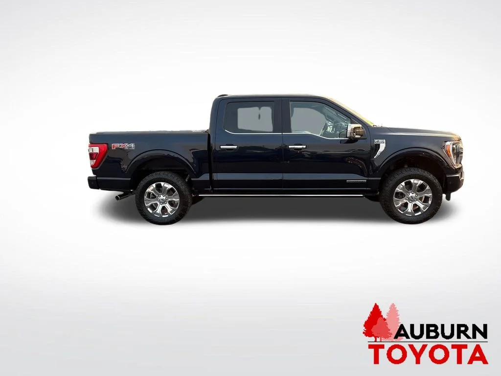 Used 2023 Blue Metallic Ford Platinum image 4