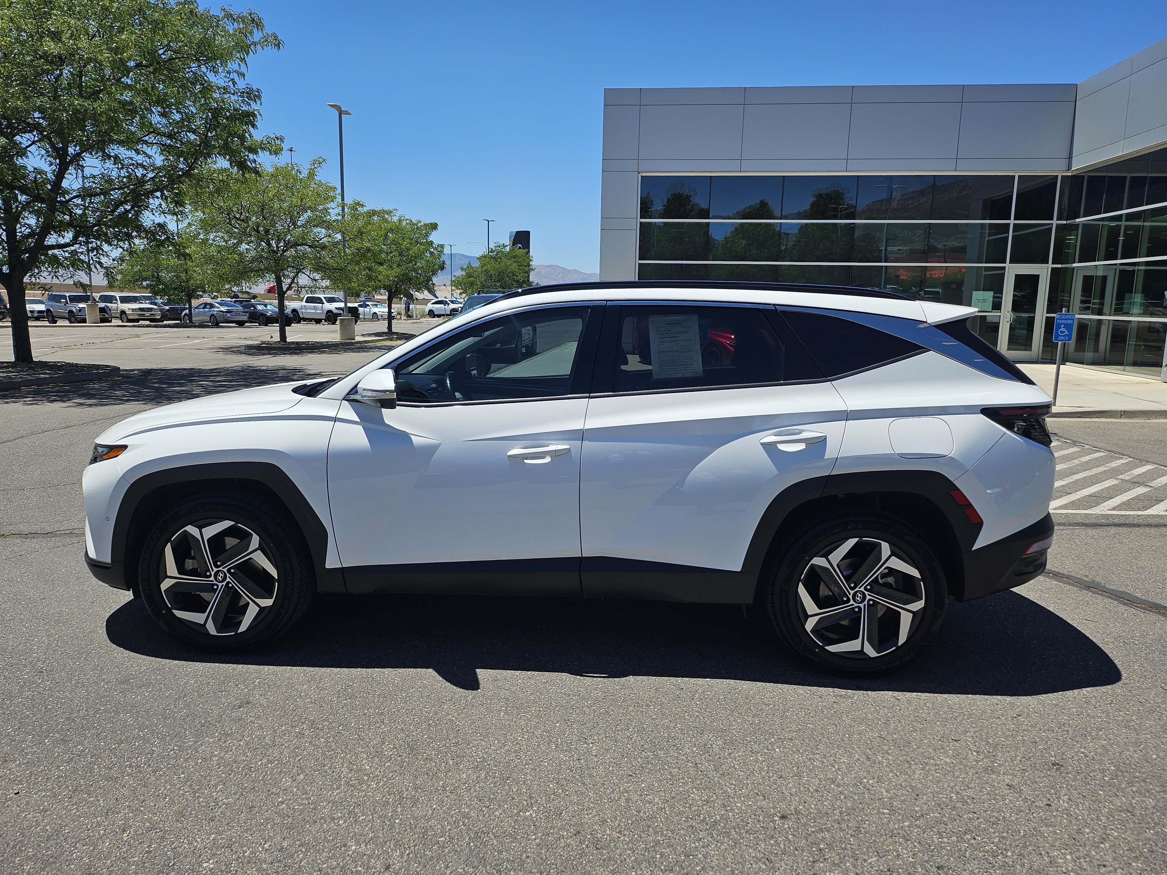 Used 2023 Serenity White Pearl Hyundai Limited image 9