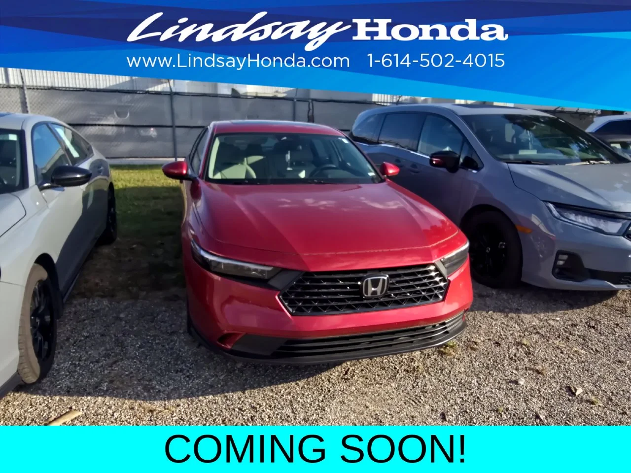 Used 2024 Radiant Red Metallic Honda EX image 2