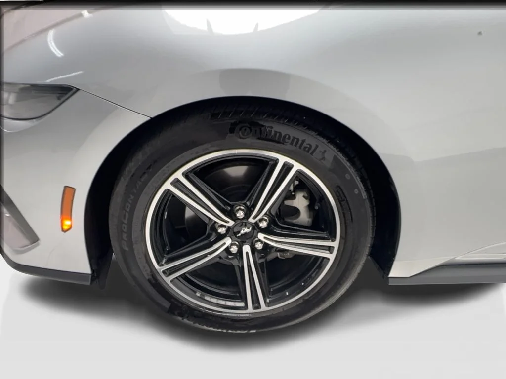 Used 2025 Silver Ford EcoBoost Premium image 13